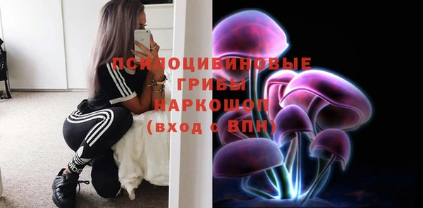 а пвп мука Горняк
