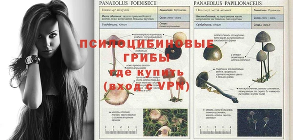 соль курить ск Горнозаводск