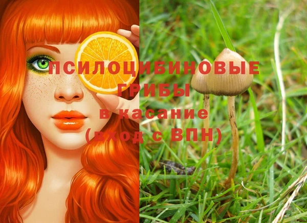 а пвп мука Горняк