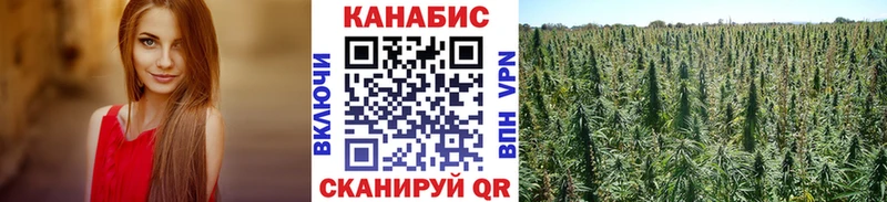 Канабис THC 21%  сколько стоит  Элиста 
